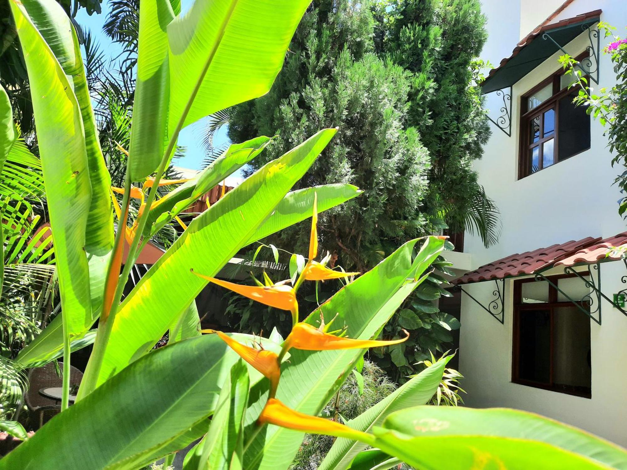 Casa Los Cantaros Hotel Boutique Oaxaca Exteriér fotografie