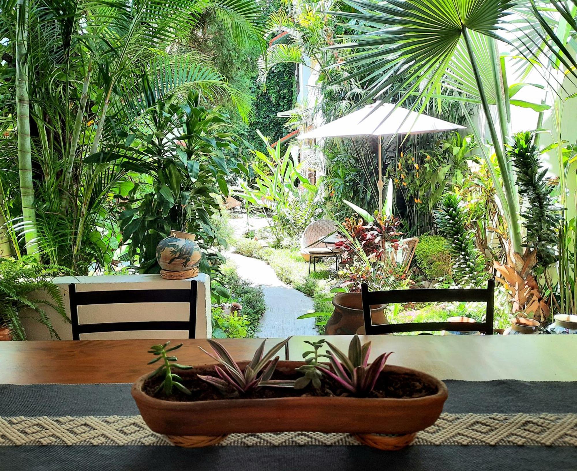 Casa Los Cantaros Hotel Boutique Oaxaca Exteriér fotografie